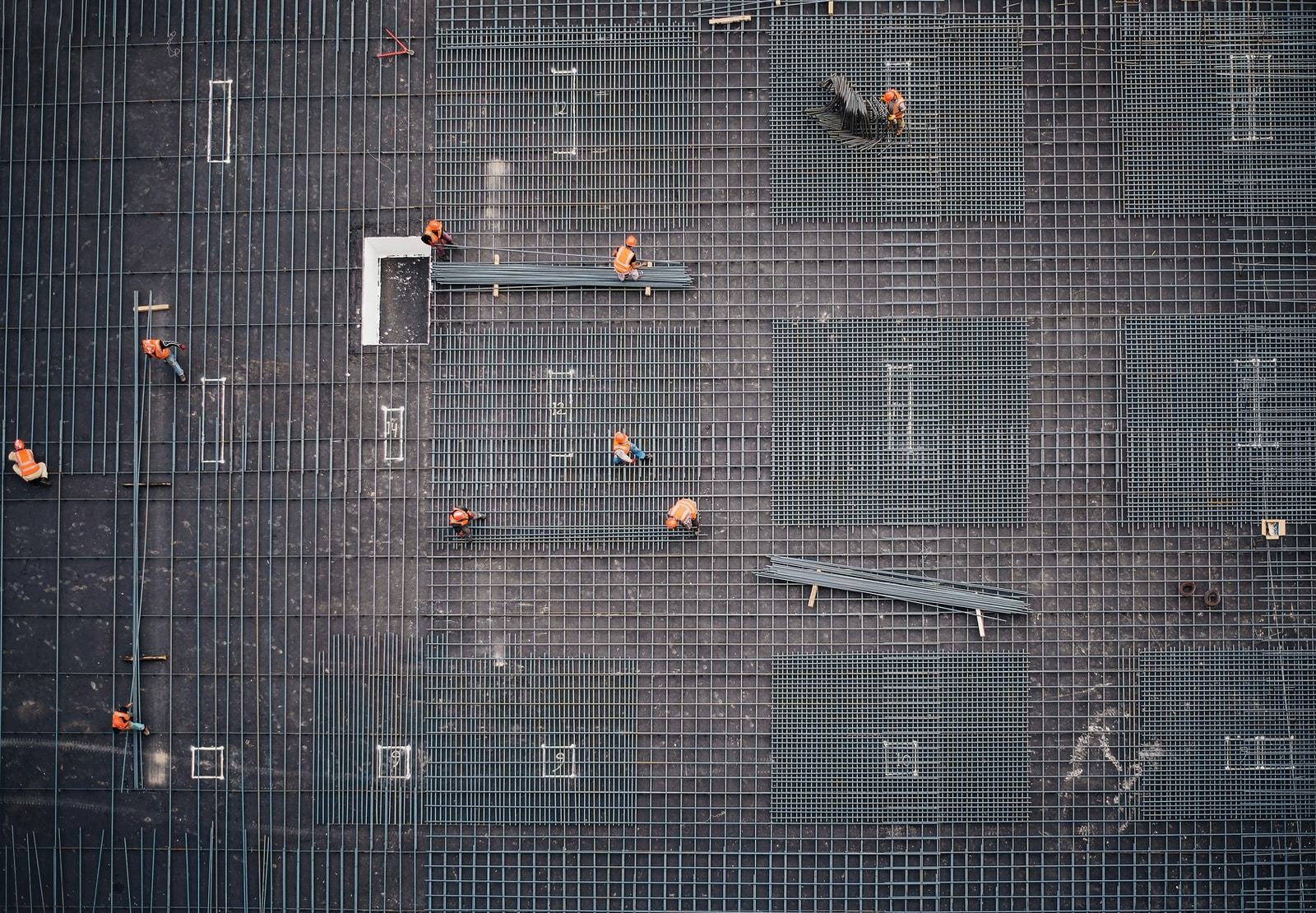 aerial photo of people in park at daytime