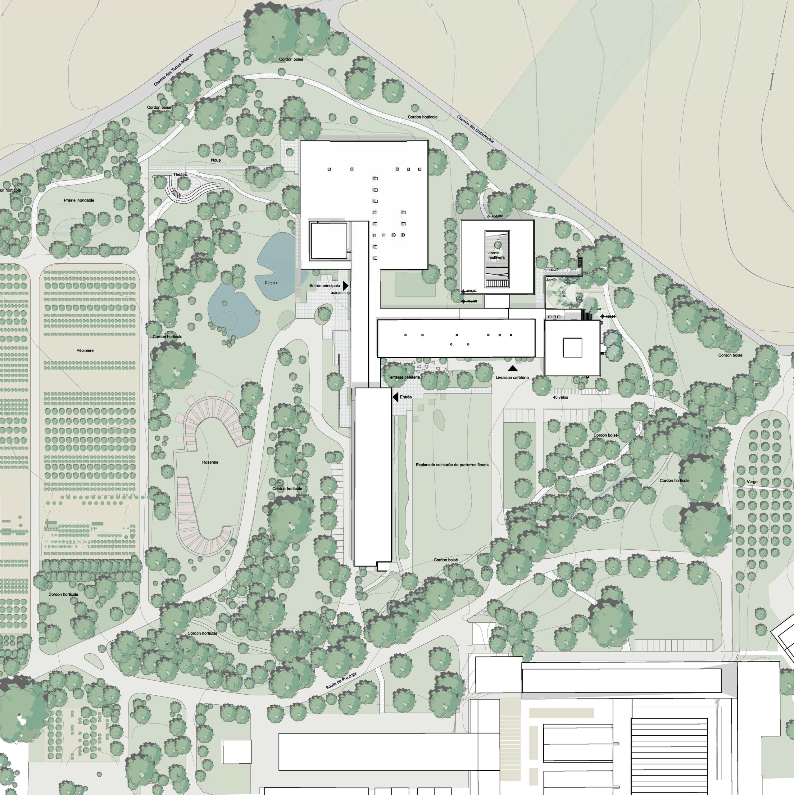 plm copie PROJEKTWETTBWERB<br />
NEUBAU PRIMARSCHULHAUS LALDEN